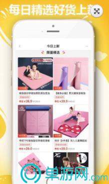猫咪任务